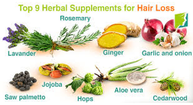 3 Superfoods That Prevent Hair Loss  hair buddha