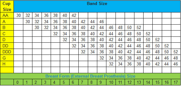 Breast Prosthesis Size Chart