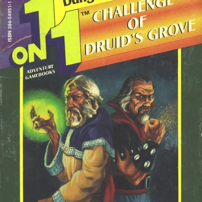 1 on 1 Adventure Gamebooks: Challenge of Druid's Grove