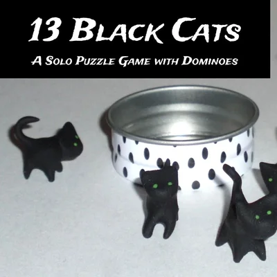 13 Black Cats