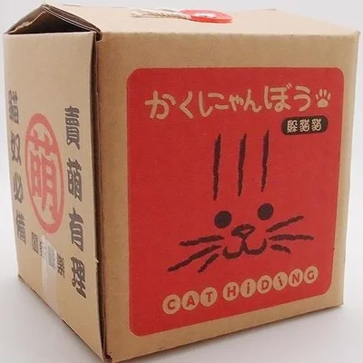 Cat Hiding