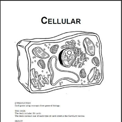 Cellular