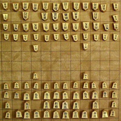 Chu Shogi