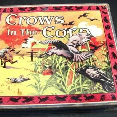 Crows in the Corn