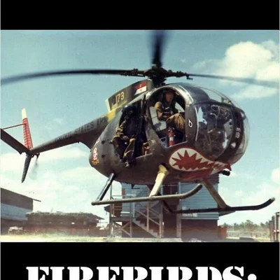 Firebirds: Gunship