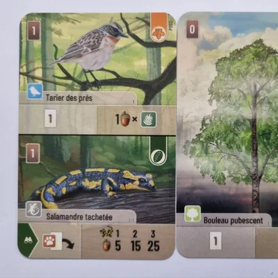 Forest Shuffle: Hobby Next Promo Cards