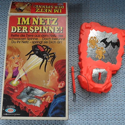 Im Netz der Spinne