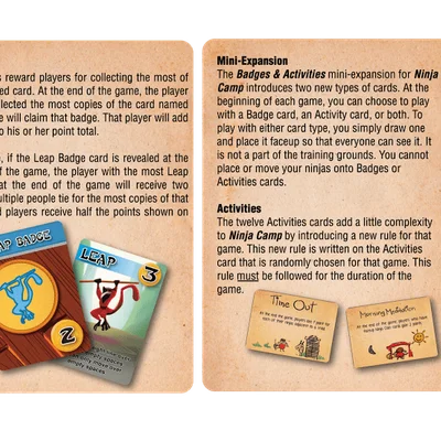 Ninja Camp: Badges and Activities