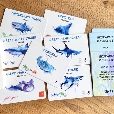 Ocean Pods: Sharks & Rays