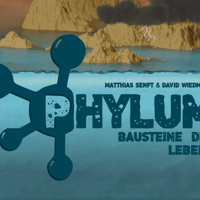 Phylum: The Building Blocks of Life