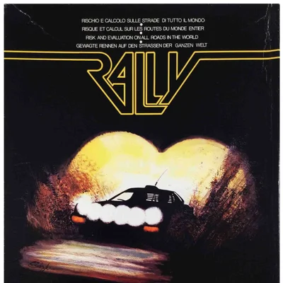 Rally: Risk and Evaluation on All Roads in the Worlds