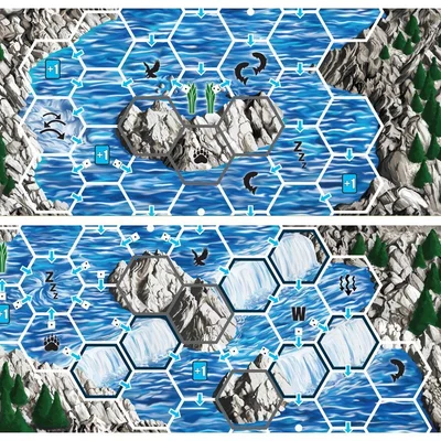 Salmon Run: The Fork/Cataract Falls Board
