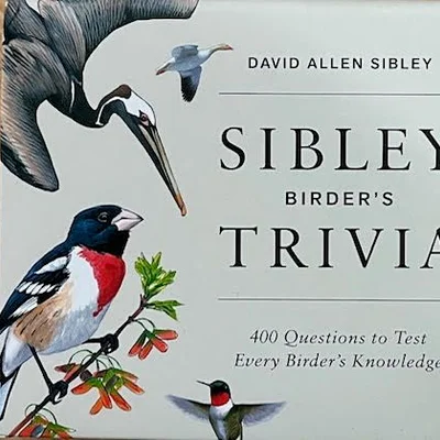 Sibley Birder's Trivia