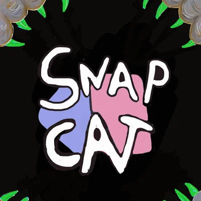 Snapcat