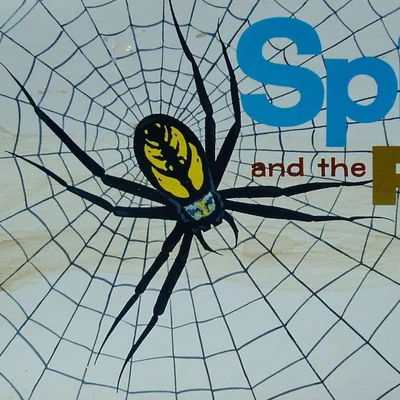 Spider and the Fly