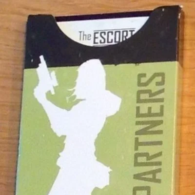 The Agents: The Partners