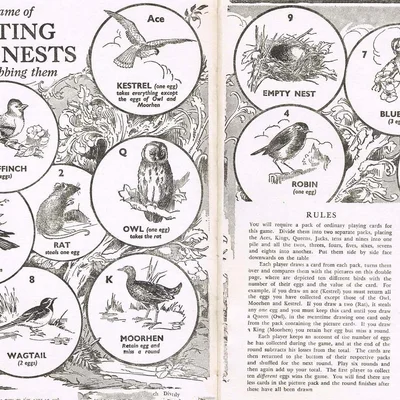 The Game of Visiting Birds' Nests Without Robbing Them