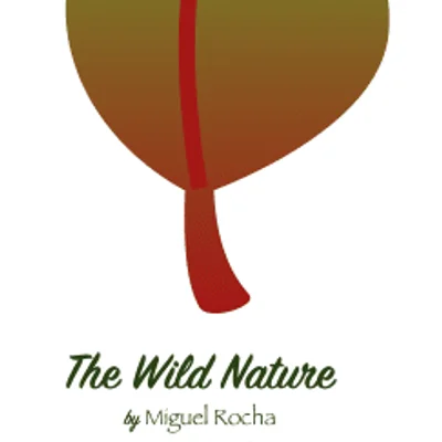 The Wild Nature (fan expansion for Potion Explosion)