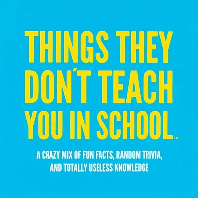 Things They Don't Teach You in School