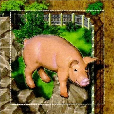 Zooloretto: Glücksschwein