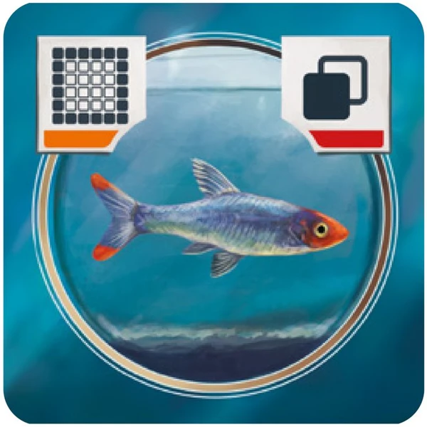 Cover image of Akvárko: Promo 2 board game