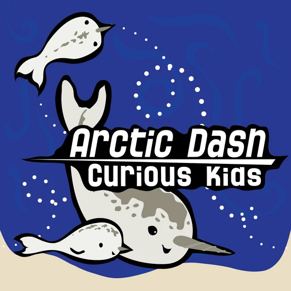 Cover image of Arctic Dash: Curious Kids board game