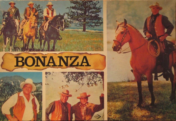 Cover image of Bonanza board game
