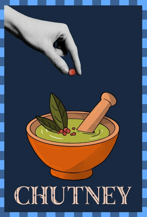 Cover image of Chutney board game
