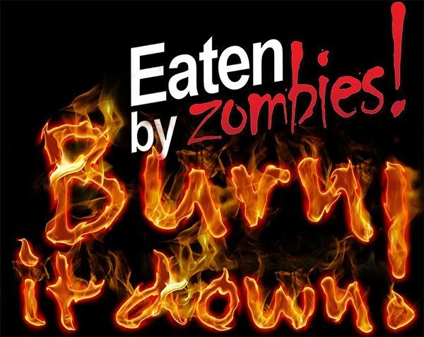 Cover image of Eaten by Zombies!: Burn it down! board game