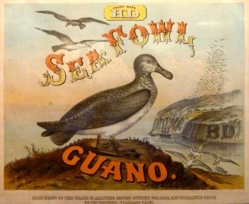Cover image of Guano! Guano!! Guano!!! board game