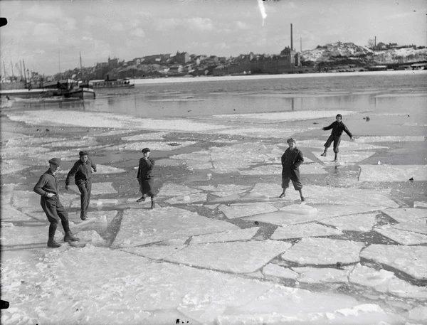Cover image of Ice-Panning board game