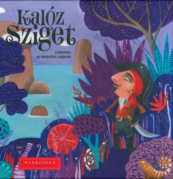 Cover image of Kalóz Sziget board game