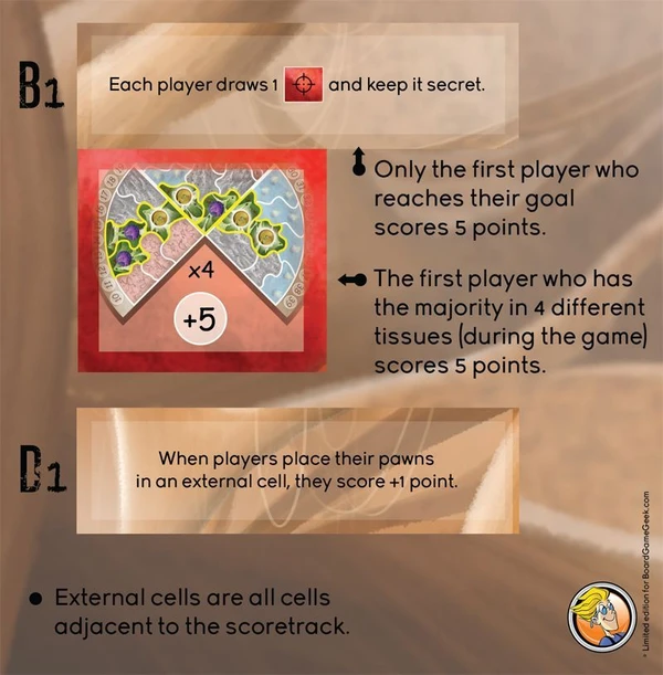 Cover image of Microworld: BoardGameGeek Promo 1 board game