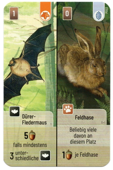 Cover image of Mischwald: Dürer-Fledermaus / Feldhase Promokarte board game