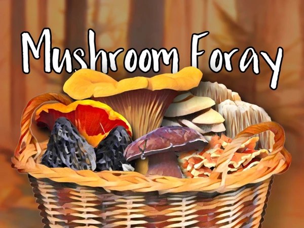 Cover image of Mushroom Foray board game