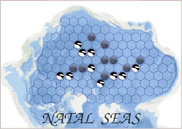 Cover image of Natal Seas board game