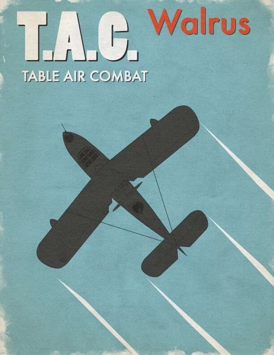 Cover image of Table Air Combat: Walrus board game