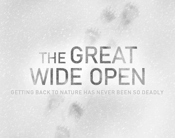 Cover image of The Great Wide Open board game