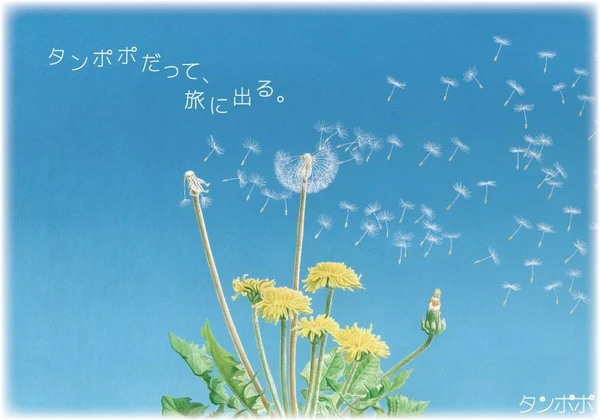 Cover image of タンポポ (Dandelion) board game
