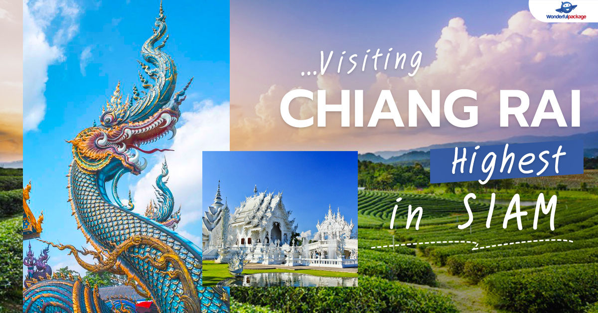 Chiang Rai Blue White Red Temple + Lalitta Caf&eacute; Full Day Tour - Tickets Not Included  Private