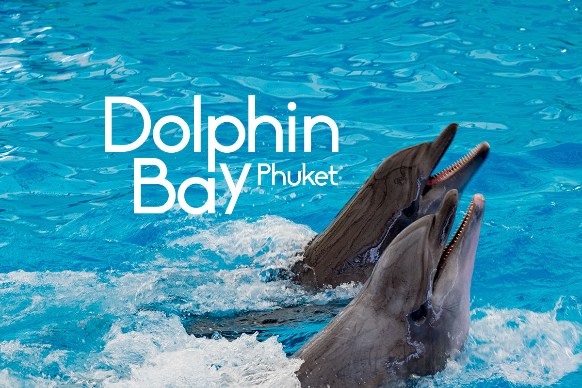 1.Dolphin Bay Phuket -Regular Seats -Ticket only