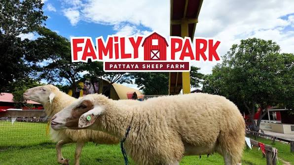Family Park Pattaya Sheep Farm +Great & Grand Sweet ( Full Package )
