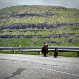 Faroe Islands 2021 30