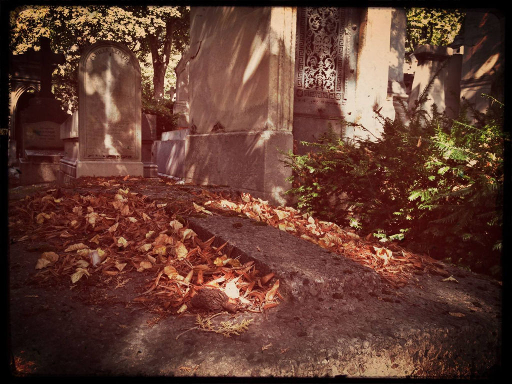 Tomb Full of Dead Leaves