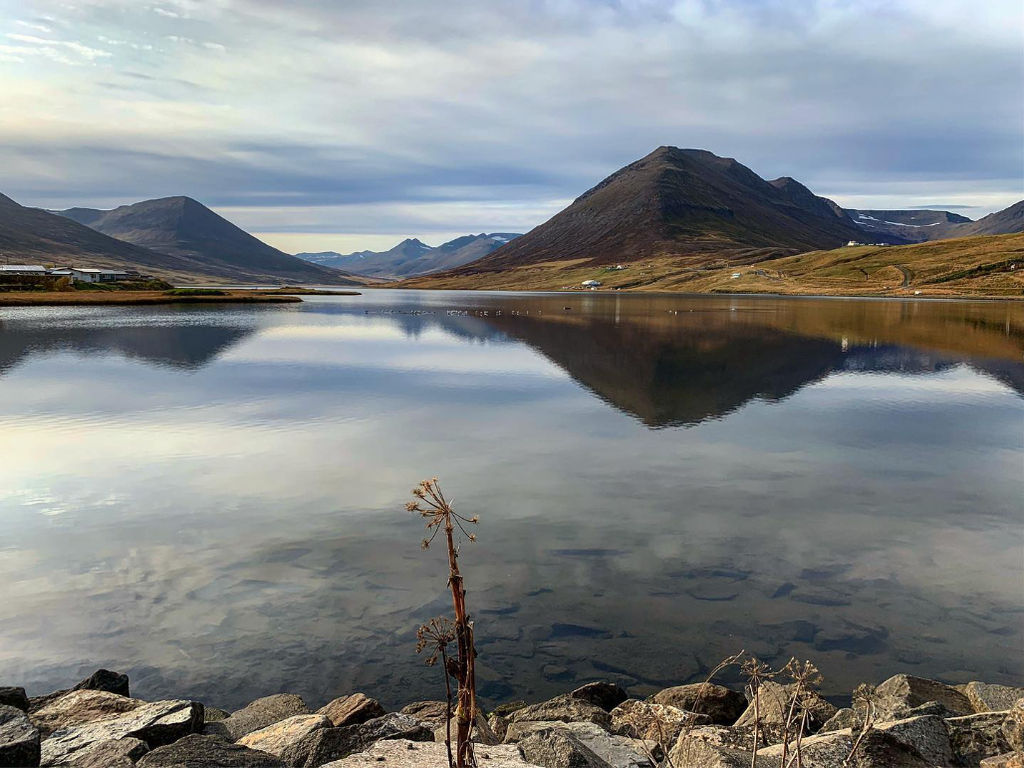 Iceland 2019 60