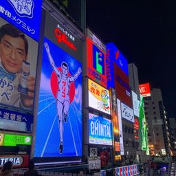 Japan 2020 9