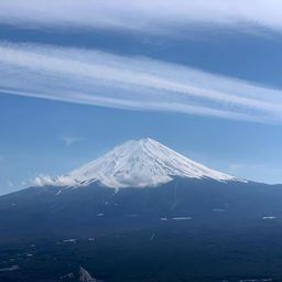 Japan 2020 31