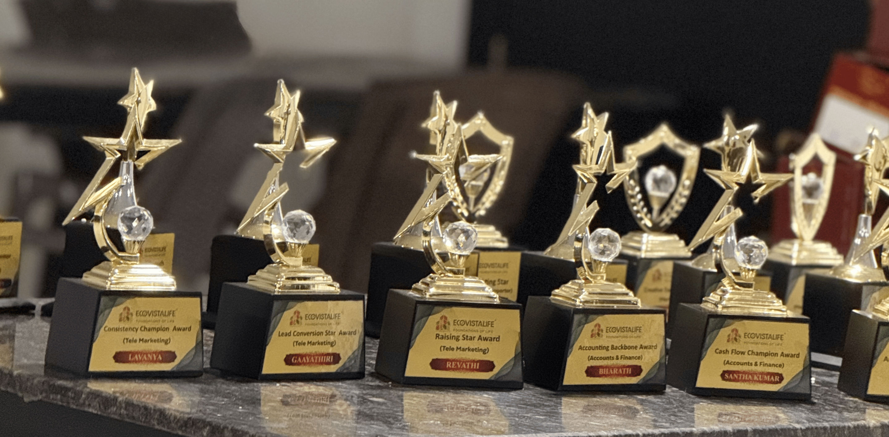 The Maverick Award