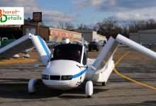 Car-Can-Fly