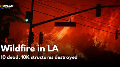 Wildfire in LA